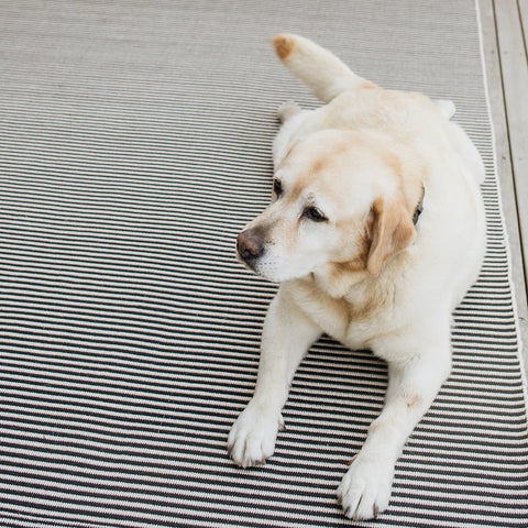 Tomball Rug