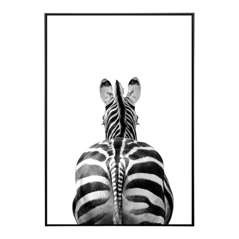 Zebra 2 Framed Canvas