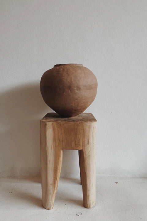 The Wild Pot's Little Sister
